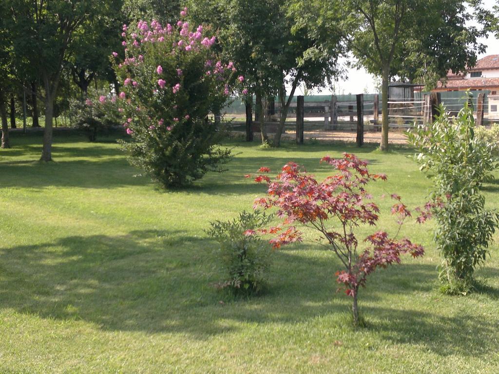 Agriturismo Arte Contadina Fiorenzuola dʼArda Extérieur photo